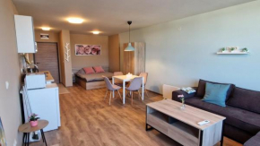 Cosy n fully equipped studio Samokov